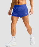 Lightweight Lined Slit Short 3''
