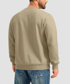 men's sherpa lined pullover sweatshirt in taupe - back view